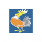 Hahn Tilo Fahrschule