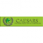 Caesars Fahrschule