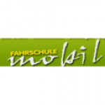 Fahrschule Mobil