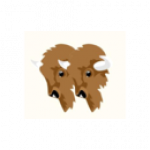 Fahrschule Bison