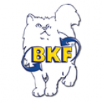 BKF-Schule GmbH