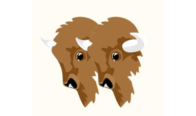 Fahrschule Bison