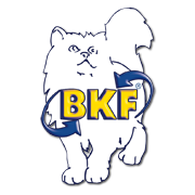BKF Schule GmbH